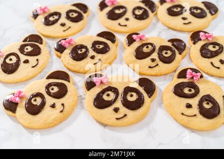 Panda-förmige Shortbread-Kekse mit Schokoladenglasur Stockfoto