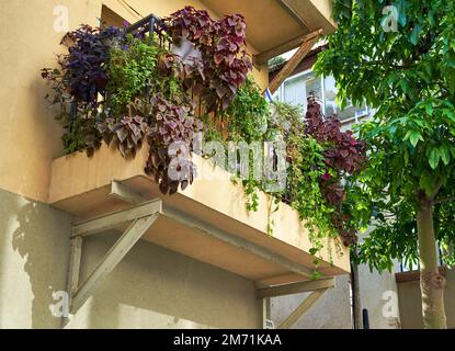 Tel Aviv, Israel - Dezember 2022: Malerischer Balkon im Stadtteil Neve Tzedek Stockfoto