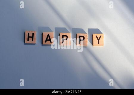 Das Wort HAPPY, geschrieben in schwarzen Buchstaben auf Holzblöcken, lag flach. Stockfoto