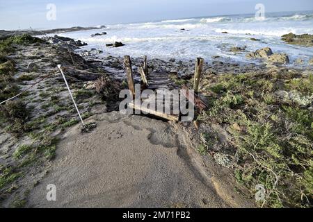 Pacific Grove, Kalifornien, USA. 6. Januar 2023. Schäden an der Pazifikküste des Asilomar State Park. Der Bombenzyklon verursachte erhebliche Schäden am Asilomar Küstenpfad. (Kreditbild: © Rory Merry/ZUMA Press Wire) Stockfoto