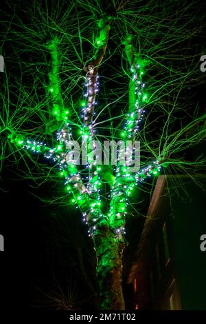 Grüne und weiße Weihnachtsdekorationen auf einem Baum auf dem Bürgersteig in Saffron Walden Stockfoto