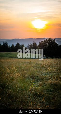 Wunderschöner Sonnenuntergang über dem Ackerland in den Schweizer Alpen Stockfoto