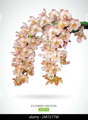 Vektorbild der Orchidee Blume auf weißem Hintergrund. Leicht editierbare Vektorgrafik mit Ebenen. Stock Vektor