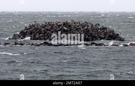 Prerow, Deutschland. 05. Januar 2023. Alles, was man vom zukünftigen Inselhafen in der Ostsee sehen kann, ist ein großer Steinhaufen in der Ferne. Der neue Hafen soll Ende 2023 fertiggestellt sein und für die Saison 2024 geöffnet werden. Der 720 Meter lange Pier zum Hafen ist der längste in der Ostseeregion. Der neue Hafen bietet unter anderem einen Liegeplatz für ein 28 Meter langes Rettungskreuz, das vom deutschen Such- und Rettungsdienst für die Seeschifffahrt (DGzRS) betrieben wird, sowie Anlegeplätze für örtliche Fischer und Vergnügungsboote. (An dpa: 'Island Harbor in Credit: dpa/Alamy Live News Stockfoto