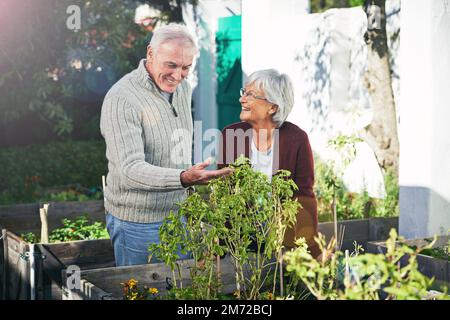 Ein Samen zu Pflanzen, heißt, an morgen zu glauben. Ein glückliches Seniorenpaar, das zusammen im Garten arbeitet. Stockfoto