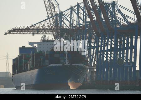 PRODUKTION - 03. Januar 2023, Hamburg: Ein Containerschiff der Schifffahrtsgesellschaft COSCO Shipping wird am Containerterminal Tollerort im Hafen beladen und entladen. Der Hamburger Elbhafen ist ein Universalhafen für alle Arten von Gütern und der bei weitem wichtigste Frachtumschlagsort in Deutschland. Jedes Jahr passieren rund 130 Millionen Tonnen Seegüter über gute 50 Umschlaganlagen die Kairänder, und rund 290 Liegeplätze bieten Platz für Schiffe jeder Größe - von besonders großen Containern und Massengutschiffen über Öl- und Chemikalientanker bis hin zu Feeder- und Binnenschiffen. (Zu dpa ' Stockfoto