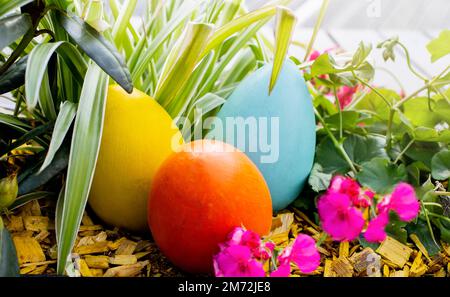 Drei große mehrfarbige Holzeier liegen auf einem Blumenbeet Stockfoto