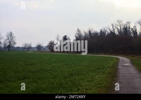 Asphaltierter Pfad mit einem Wald und einem Wasserstrahl am Rande inmitten von bebauten Feldern an einem bewölkten Tag in der italienischen Landschaft Stockfoto