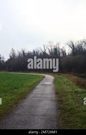 Asphaltierter Pfad mit einem Wald und einem Wasserstrahl am Rande inmitten von bebauten Feldern an einem bewölkten Tag in der italienischen Landschaft Stockfoto