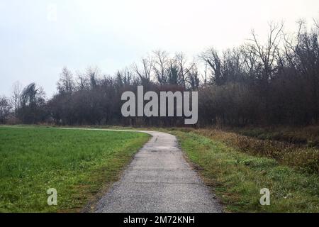 Asphaltierter Pfad mit einem Wald und einem Wasserstrahl am Rande inmitten von bebauten Feldern an einem bewölkten Tag in der italienischen Landschaft Stockfoto