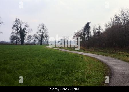 Asphaltierter Pfad mit einem Wald und einem Wasserstrahl am Rande inmitten von bebauten Feldern an einem bewölkten Tag in der italienischen Landschaft Stockfoto