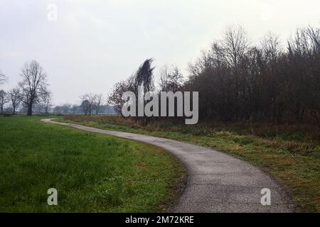 Asphaltierter Pfad mit einem Wald und einem Wasserstrahl am Rande inmitten von bebauten Feldern an einem bewölkten Tag in der italienischen Landschaft Stockfoto