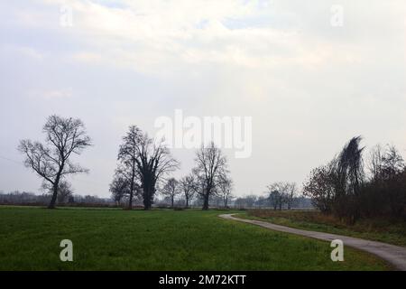 Asphaltierter Pfad mit einem Wald und einem Wasserstrahl am Rande inmitten von bebauten Feldern an einem bewölkten Tag in der italienischen Landschaft Stockfoto
