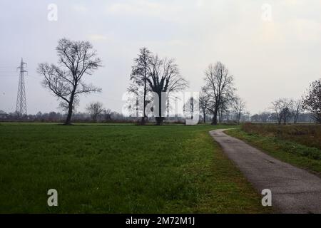 Asphaltierter Pfad mit einem Wald und einem Wasserstrahl am Rande inmitten von bebauten Feldern an einem bewölkten Tag in der italienischen Landschaft Stockfoto