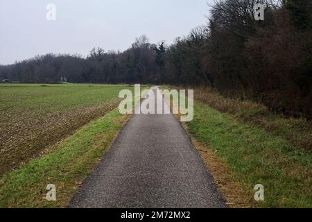 Asphaltpfad, der an einem bewölkten Tag in der italienischen Landschaft von einem bebauten Feld und einem Wald neben einem Wasserstrom umgeben ist Stockfoto