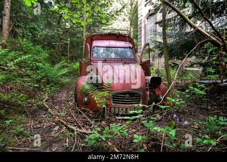 Elsass, Frankreich - Februar 05 2012: Ein zerstörter Citroen 2CV wurde im Wald aufgegeben. Stockfoto