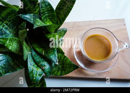Eine Tasse heißen Tee mit grünem Baum. Stockfoto