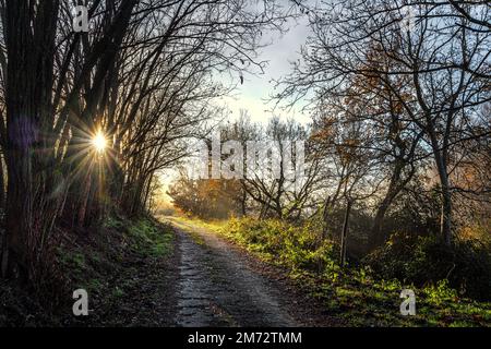 Ein Pfad durch einen Wald, bei dem die Morgensonne hinter den Bäumen herausblickt. Abruzzen, Italien, Europa Stockfoto
