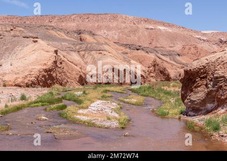 Fluss in der Mitte des trockensten Teils von Atacama, der trockensten Wüste der Welt Stockfoto