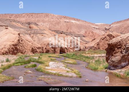 Fluss in der Mitte des trockensten Teils von Atacama, der trockensten Wüste der Welt Stockfoto