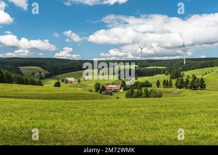 Hügelige Landschaft im Schwarzwald mit Wiesen und einsamen Bauernhäusern, Windturbinen auf grünen Hügeln, umgeben von Tannenwald, St. Peter, Baden-Württembe Stockfoto