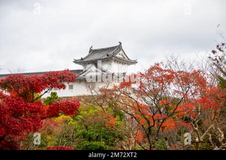 Der Außenblick auf Nishinomaru im Schloss Himeji, einem japanischen Burgkomplex auf einem Hügel. Es befindet sich in der Präfektur Hyogo in Japan. Stockfoto