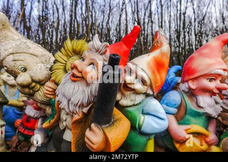 Farbenfrohe Gartenzwerge mit einer Waffe an einem Ort im Wald während der Wanderung Stockfoto