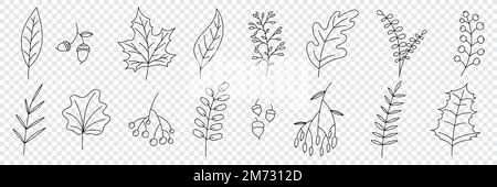 Handgezeichnete Herbstkollektion mit saisonalen Pflanzen und Blättern. Handgezeichnete Pflanzen, Blätter, Blumen. Silhouetten mit natürlichen Elementen für die Saison Stock Vektor