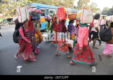 Nicht Exklusiv: 06. Januar 2023, Kalkutta, Indien. Pilger aus dem ganzen Land sind auf dem Weg hierher, zum Gangasagar Mela Transitlager auf ihrem Weg Stockfoto