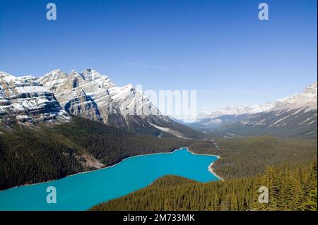Peyto Lake ist ein Gletschersee im Banff National Park in den Kanadischen Rockies. Der See befindet sich in der Nähe des Icefields Parkway. Es wurde nach Bill Peyto benannt Stockfoto