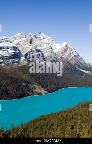 Peyto Lake ist ein Gletschersee im Banff National Park in den Kanadischen Rockies. Der See befindet sich in der Nähe des Icefields Parkway. Es wurde nach Bill Peyto benannt Stockfoto