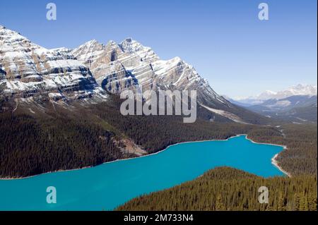 Peyto Lake ist ein Gletschersee im Banff National Park in den Kanadischen Rockies. Der See befindet sich in der Nähe des Icefields Parkway. Es wurde nach Bill Peyto benannt Stockfoto