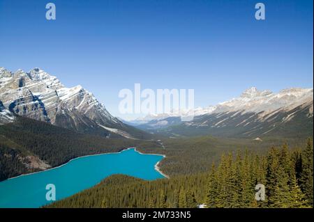 Peyto Lake ist ein Gletschersee im Banff National Park in den Kanadischen Rockies. Der See befindet sich in der Nähe des Icefields Parkway. Es wurde nach Bill Peyto benannt Stockfoto