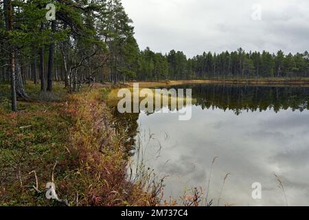 See im Lemmenjoki-Nationalpark, in der Nähe von Inari, Finnland Stockfoto