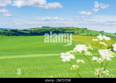 Vrbovce: Hügel der Weißen Karpaten (Biele Karpaty), Feld der Weißen Karpaten (Biele Karpaty), Slowakei Stockfoto