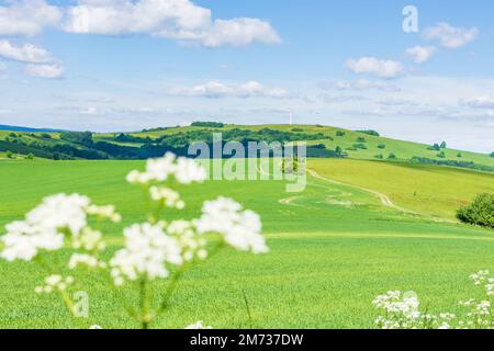 Vrbovce: Hügel der Weißen Karpaten (Biele Karpaty), Feld der Weißen Karpaten (Biele Karpaty), Slowakei Stockfoto