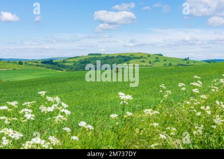 Vrbovce: Hügel der Weißen Karpaten (Biele Karpaty), Feld der Weißen Karpaten (Biele Karpaty), Slowakei Stockfoto