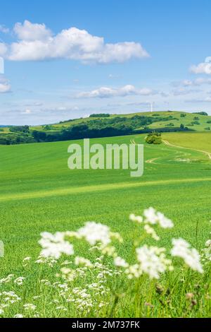 Vrbovce: Hügel der Weißen Karpaten (Biele Karpaty), Feld der Weißen Karpaten (Biele Karpaty), Slowakei Stockfoto