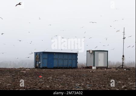 Vögel fliegen über Mülltonnen Stockfoto