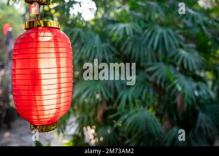 Rote chinesische Laterne aus nächster Nähe vor Eukalyptusblättern Stockfoto