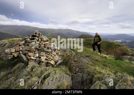 Walker am Gipfelkairn auf Gibson Knott Fell, über Thirlmere in den Central Fells, Lake District National Park, Cumbria, England, UK Gibson Knott Stockfoto