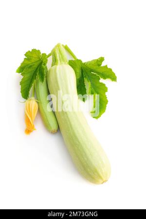 Frischer junger Kürbis mit Blättern und Blumen isoliert auf weiß Stockfoto