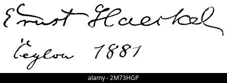 Ernst Haeckel (1834-1919), deutscher Arzt, Zoologe und Naturphilosoph, Haack, Friedrich (Fotograf) (Evolution History Book, 1894), Ernst Haeckel (1834-1919), deutscher Mediziner, Zoologe und Naturphilosoph, Ernst Haeckel (1834-1919), médecin, Zoologe und Philosophe de la Nature Allemand Stockfoto