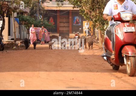 Dezember 17 2022 - Bidar, Karnataka in Indien: Straßenleben in einer kleineren Stadt in Zentralindien Stockfoto