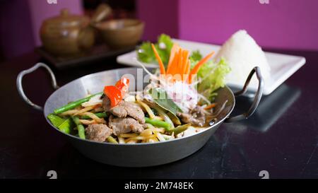 Asiatische Kombi-Platte mit Rindfleisch in Currysauce und Gemüse serviert mit Reis. Stockfoto