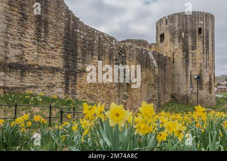 Die denkmalgeschützten 1 Überreste des Barnard Castle aus dem 12. Jahrhundert in der gleichnamigen Stadt Teesdale, County Durham, Großbritannien. Stockfoto