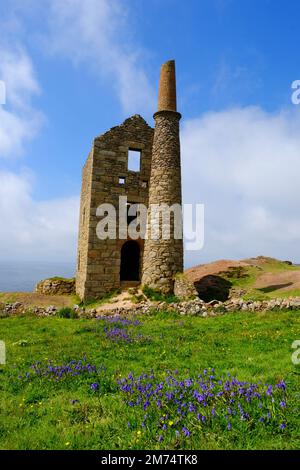 Weheneulen ein verlassenes Maschinenhaus in einer Blechmine, ein Weltkulturerbe, Botallack, Cornwall, Großbritannien - John Gollop Stockfoto