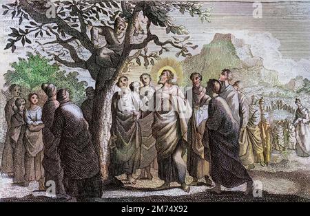 Bibel par le Sieur de Royaumont, Nouveau Testament : Conversion de Zachee. Jesus Christus Parlant avec Zachee perche sur le sycomore. Gravure de 1811 - Bible de Royaumont, Neues Testament : Umwandlung von Zachee. Jesus Christus, der mit Zachee spricht, hoch oben auf dem Platanenbaum. Stockfoto