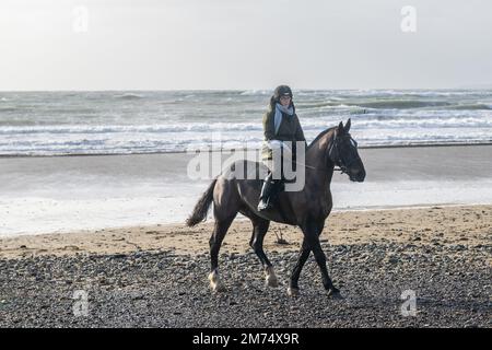 Garrylucas Beach, West Cork, Irland. 7. Januar 2023. Met Eireann hat eine gelbe Wetterwarnung für fünf Bezirke ausgegeben. Die gelbe Windwarnung gilt für die Grafschaften Kerry, Clare, Galway, Mayo und Donegal und gilt bis morgen früh um 08,00 Uhr (so 8. Uhr). Alison Chambers aus Garretstown nahm ihr Pferd 'TJ' für eine Fahrt am Strand mit. Kredit: AG News/Alamy Live News Stockfoto