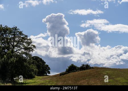 Cumulus Congestus - majestätische Cumulus-Wolken über dem Yair Valley in Schottland Stockfoto